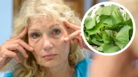 Wąkrotka azjatycka zapobiega przedwczesnemu pojawianiu się zmarszczek