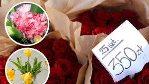 Jakie kwiaty kupić na Dzień Kobiet? Sprawdź symbolikę róży i goździka