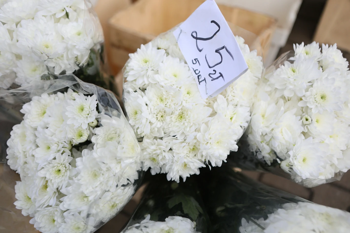 Wybór kwiatów z okazji Dnia Kobiet nie powinien być kwestią przypadku. Zwłaszcza jeśli bliska osoba interesuje się symboliką roślin