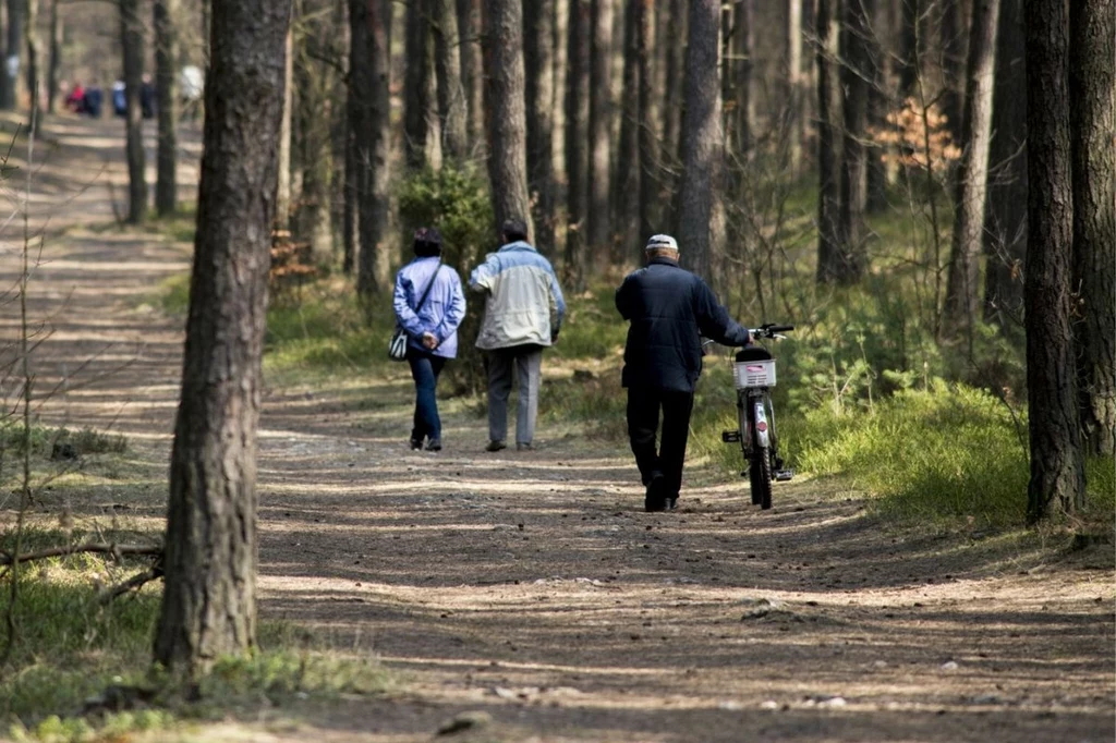 Czy już są kleszcze? Lasy Państwowe alarmują. Uważaj podczas spacerów