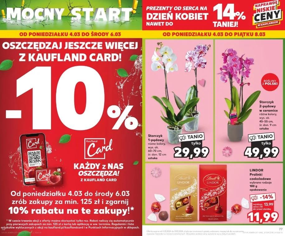 Kaufland oferuje storczyki w niskich cenach!
