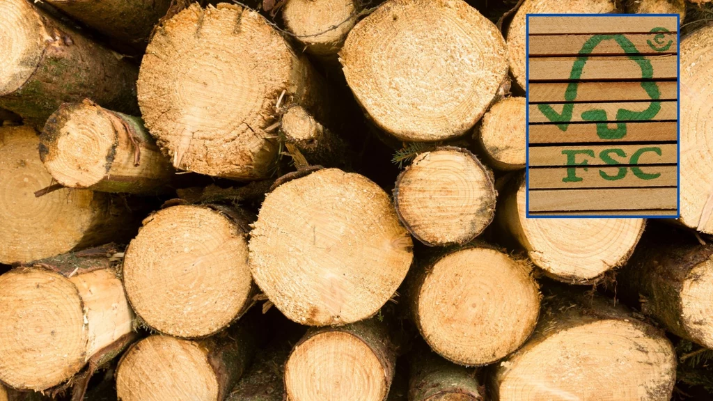 Certyfikat FSC świadczy o zrównoważonym pozyskiwaniu drewna  