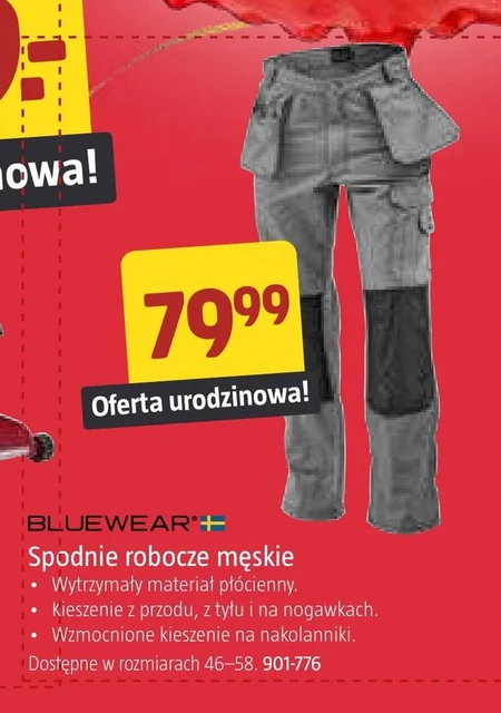 Spodnie robocze męskie Bluewear