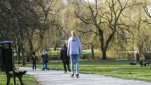 Kiedy wiosna 2024? Zdj. ilustracyjne 