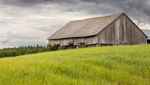 Okolice wsi Szypliszki. To m.in. na tym terenie będą odbywać sie poszukiwania surowców ze skał magmowych