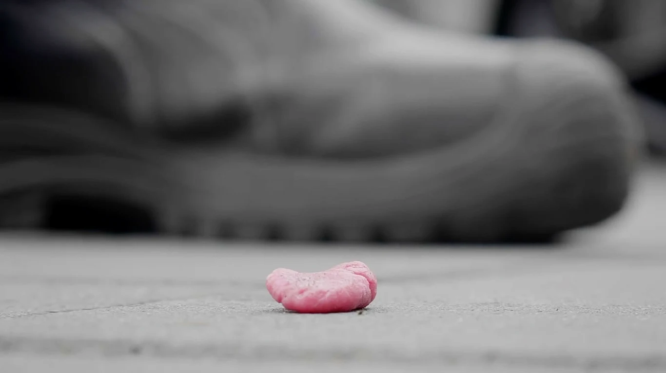 Wypluta na chodnik guma wprawia zwierzęta w konfuzję Wypluta na chodnik guma wprawia zwierzęta w konfuzję