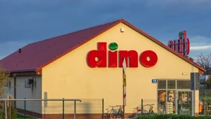 Dino zatrudnia. Sieciówka szuka 900 osób do pracy w marketach.