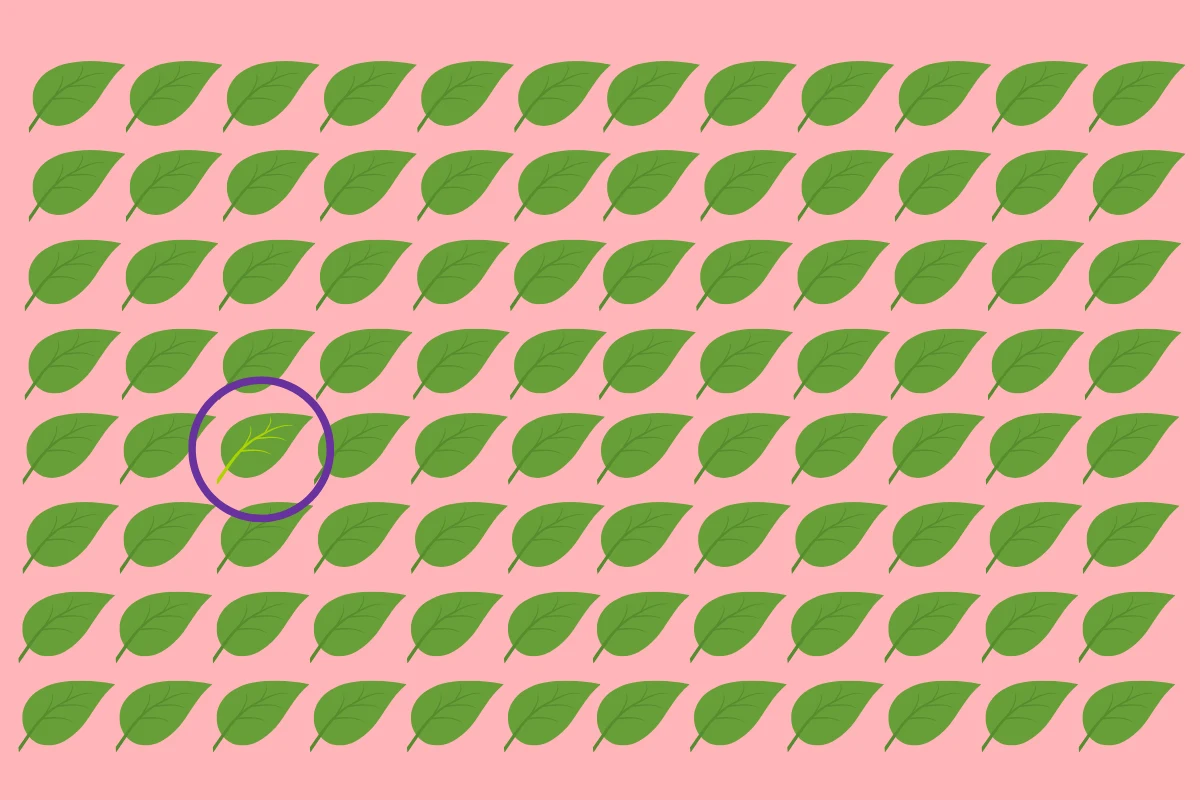 Poprawne rozwiązanie