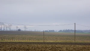 W III kwartale 2023 r. ceny gruntów rolnych wystrzeliły w górę 