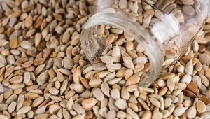 Kosztuje kilka złotych, a obniża cukier i cholesterol. Wystarczy łyżka dziennie 