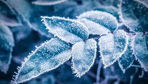 Cała Polska zakryta alertami. Prognozy nie pozostawiają złudzeń