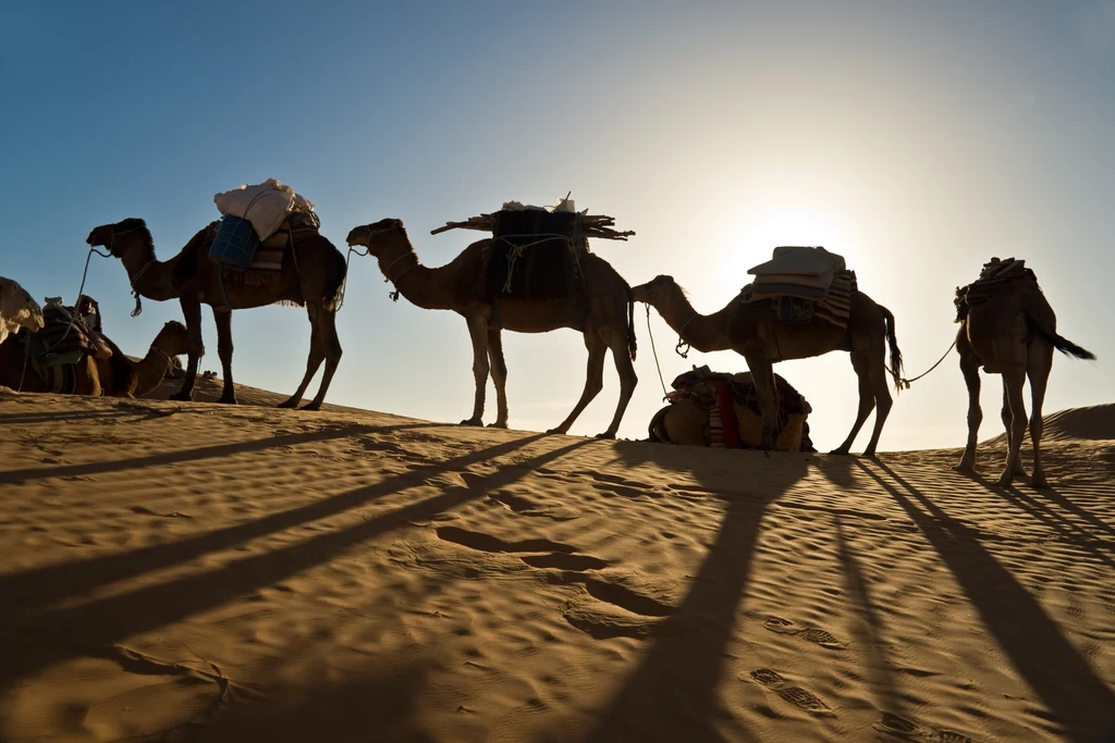 Latem odczuwalna temperatura w Egipcie i Tunezji, często przekracza 40 st. C.