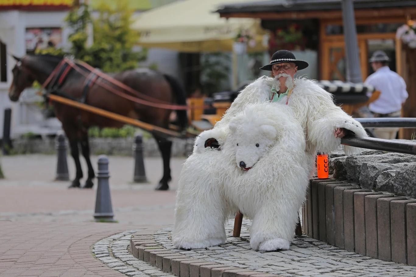 Pan Marek Zawadzki jest obecnie jedynym zawodowym, certyfikowanym białym misiem z Zakopanego. "On tylko psuje opinię Zakopanemu" - powiedział pan Marek o mężczyźnie z filmiku Hanny Turnau