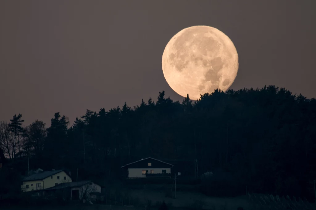 Pełnia Robaczego Księżyca. Co dla nas oznacza? To zastrzyk wiosennej energii