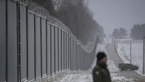 Komitet UNESCO wezwał niedawno rząd do naprawienia szkód wyrządzonych w Puszczy Białowieskiej w ostatnich latach. Chodziło zwłaszcza o masowe wycinki w 2017 r. i efekty budowy muru na granicy z Białorusią 
