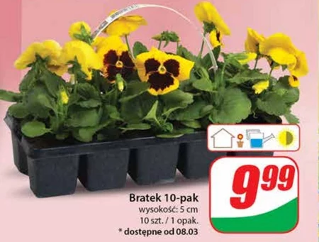Bratek