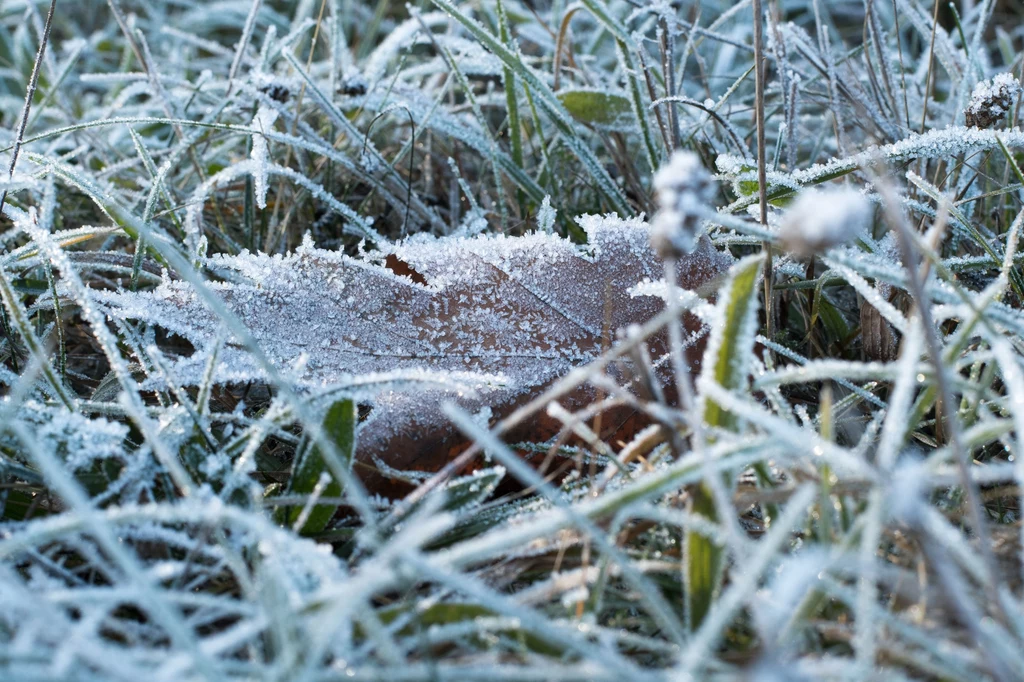 Marzec i kwiecień mogą być odczuwalnie chłodniejsze