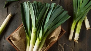 Planujesz uprawę pora? Wybierz tę odmianę, jest wyjątkowo smaczna