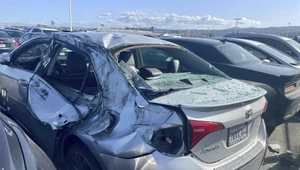 Samolot zmasakrował auta na parkingu. Jest nagranie