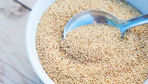 Aztekowie jedli go codziennie. To jedno z lepszych źródeł magnezu, błonnika i białka 