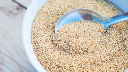 Te nasiona jedli już starożytni Aztekowie. Jakie posiadają właściwości i dlaczego warto włączyć je do codziennej diety?