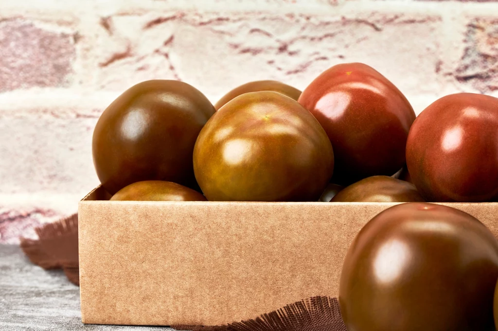 Pomidory czekoladowe można znaleźć pod nazwą kumato