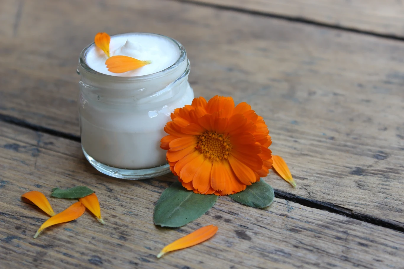 Regularne stosowanie maści z nagietka przyczynia się do redukowania zmarszczek. 