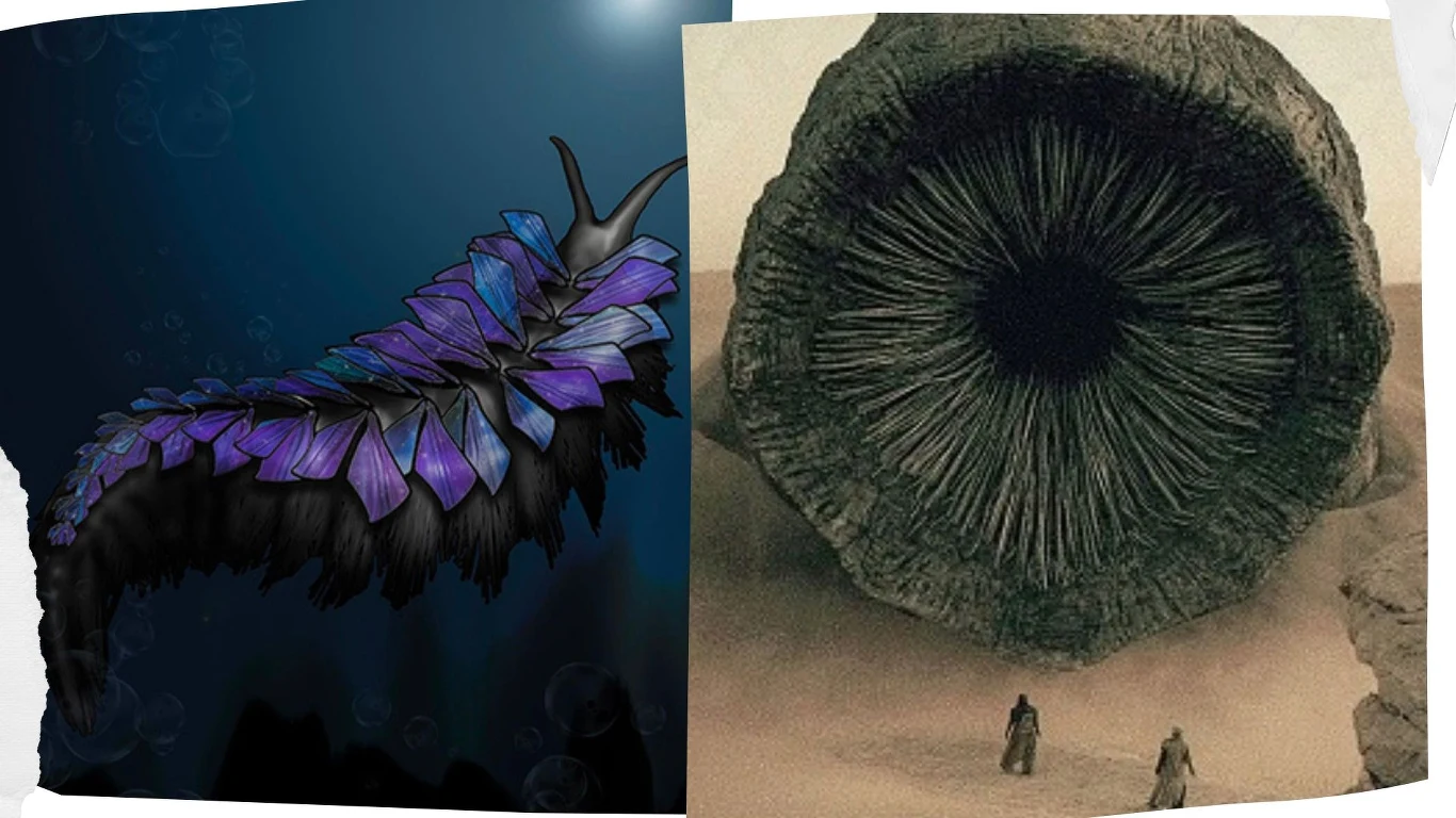 Prawdziwy ziemski Shai-Hulid i czerw z filmu "Diuna"