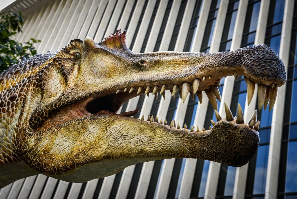 Spinozaur miał wydłużony pysk podobny do krokodylego