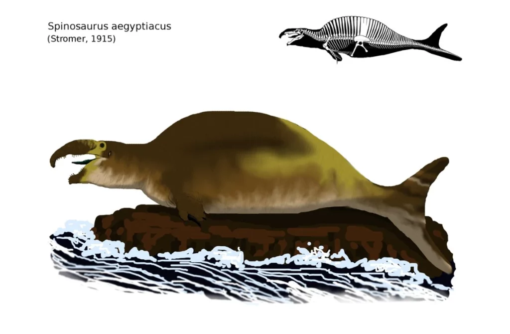 Rekonstrukcja spinozaura jako zwierzęcia podobnego do waleni albo płetwonogich