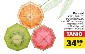Parasol Kiwi niska cena