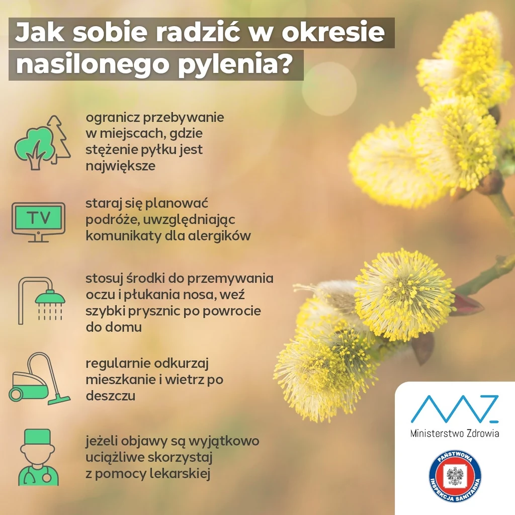 Alergia może poważnie wpływać na samopoczucie. Jak sobie radzić w okresie silnego pylenia?