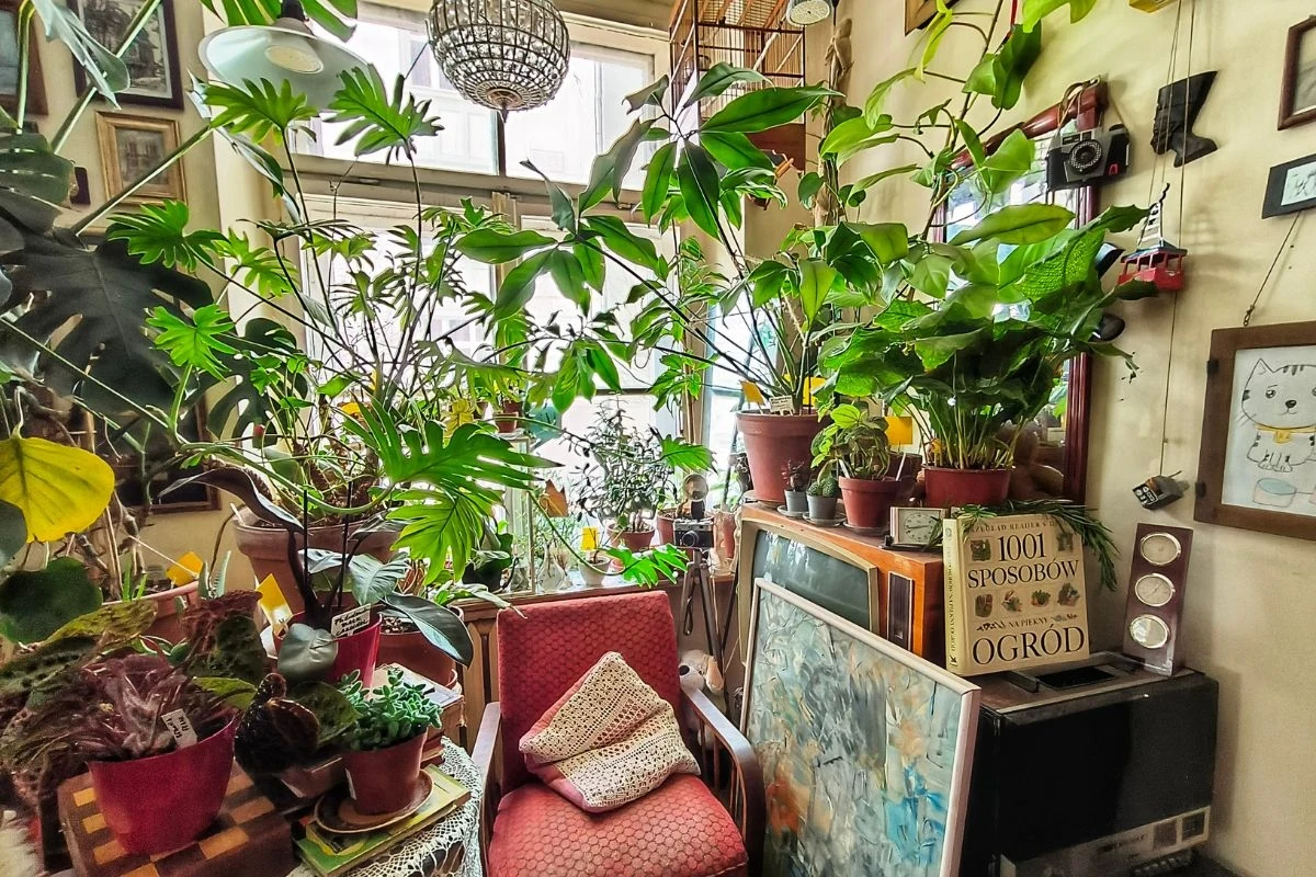 Pusty i nijaki bar mleczny? Na pewno nie tutaj Pusty i nijaki bar mleczny? Na pewno nie tutaj