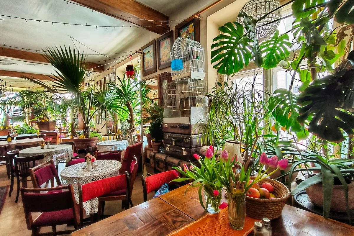 Dbanie o przestrzeń usłaną kwiatami wymaga sporo wysiłku, a czasem nawet biegania z konewką między klientami Dbanie o przestrzeń usłaną kwiatami wymaga sporo wysiłku, a czasem nawet biegania z konewką między klientami