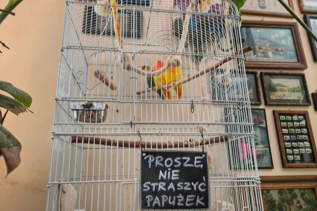 Ptasi gospodarze Baru Pod Kopytkiem Ptasi gospodarze Baru Pod Kopytkiem