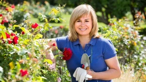 Marcowe cięcie róż. Wszystko, o czym musisz pamiętać, by cieszyć się bujnymi kwiatami