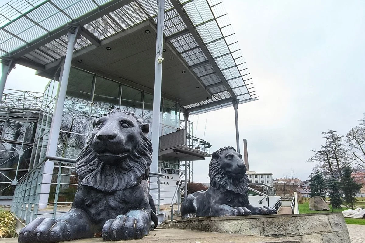 Przed wejściem do palmiarni Przed wejściem do palmiarni