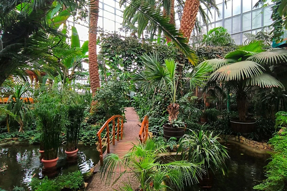 Palmiarnia Miejska w Gliwicach - najszybszy sposób na wyprawę w tropiki Palmiarnia Miejska w Gliwicach - najszybszy sposób na wyprawę w tropiki