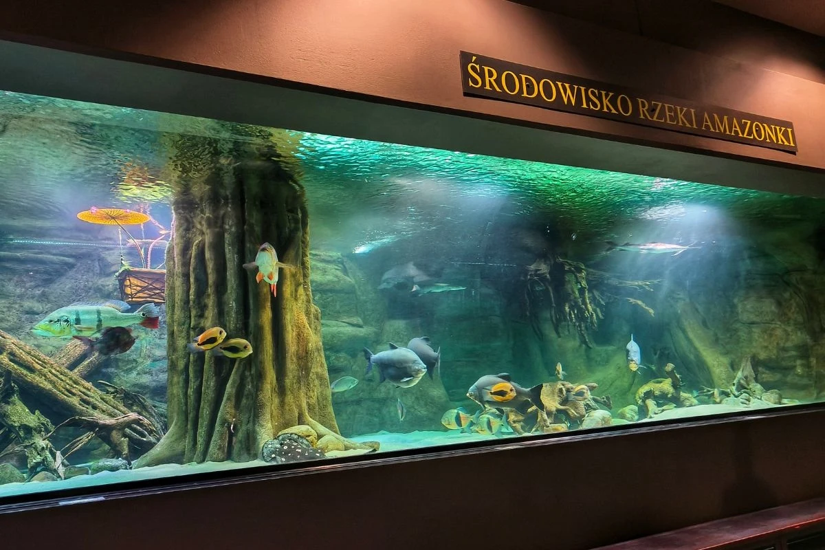 Tutaj przystaniesz na dłuższą chwilę Tutaj przystaniesz na dłuższą chwilę