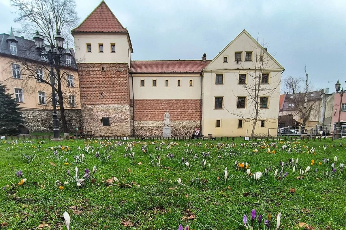 Zamek Piastowski Zamek Piastowski