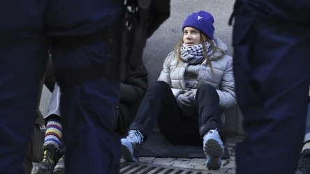 Greta Thunberg skazana. Blokowała wejście do parlamentu