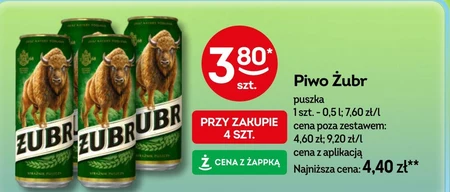 Żubr Piwo jasne 500 ml