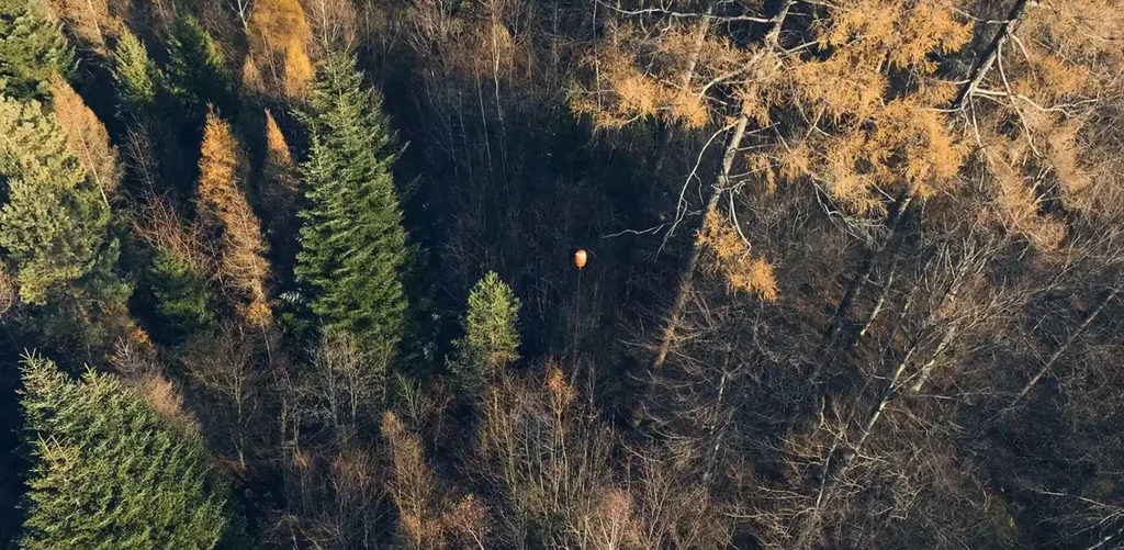 Pomarańczowy balon jest dobrze widoczny w każdych warunkach