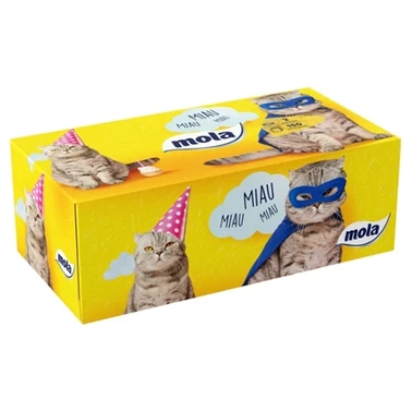 Mola Family Box chusteczki kosmetyczne 2-warstwowe 150 sztuk - 0