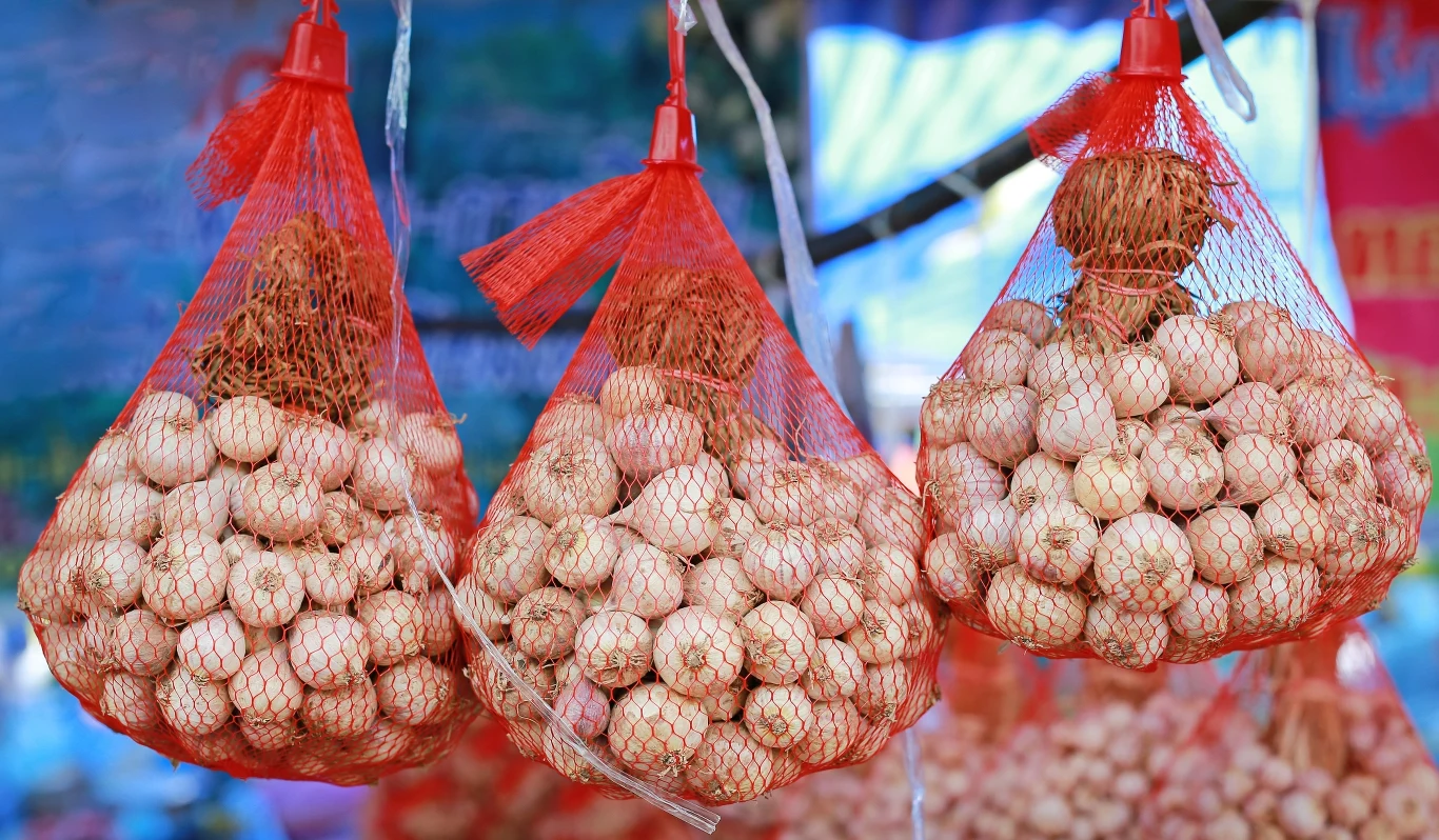 Czosnek nie powinien być przechowywany w lodówce ani zbyt ciepłych, dobrze oświetlonych pomieszczeniach