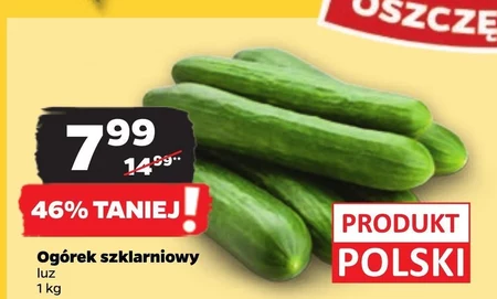 Огірок Polski