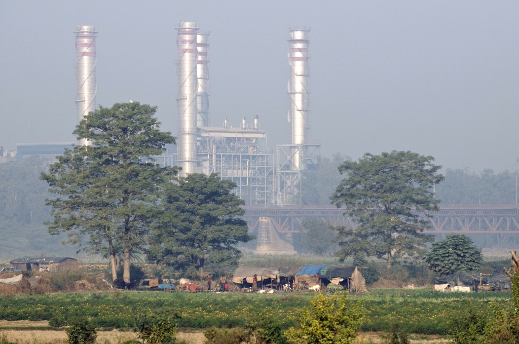 Smog jest zabójczy dla drzew. Zakłóca możliwość przeprowadzania fotosyntezy