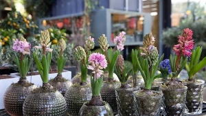 Już czas na wiosenną dekorację. Tak zrobisz elegancką ozdobę na stół z żywymi kwiatami