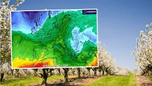 Wiosna wpada z wizytą. Nie potrwa to długo