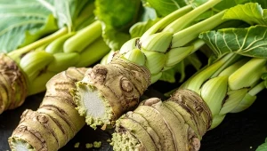 Na rynku wasabi występuje w postaci kłącza, łodygi, można je także zakupić w postaci proszku lub pasty.
